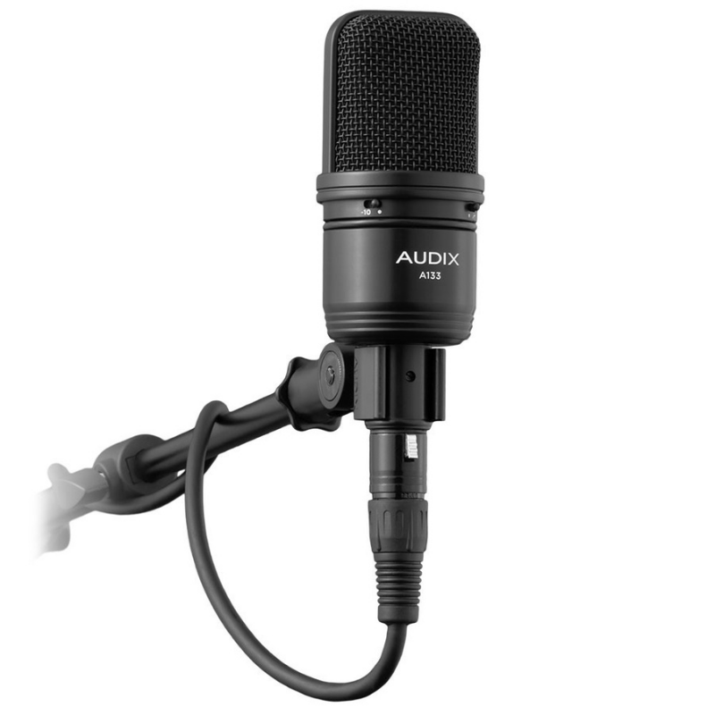 AUDIX ADX-A133 LARGE DIAPHRAGM CONDENSER MICROPHONE Side View
